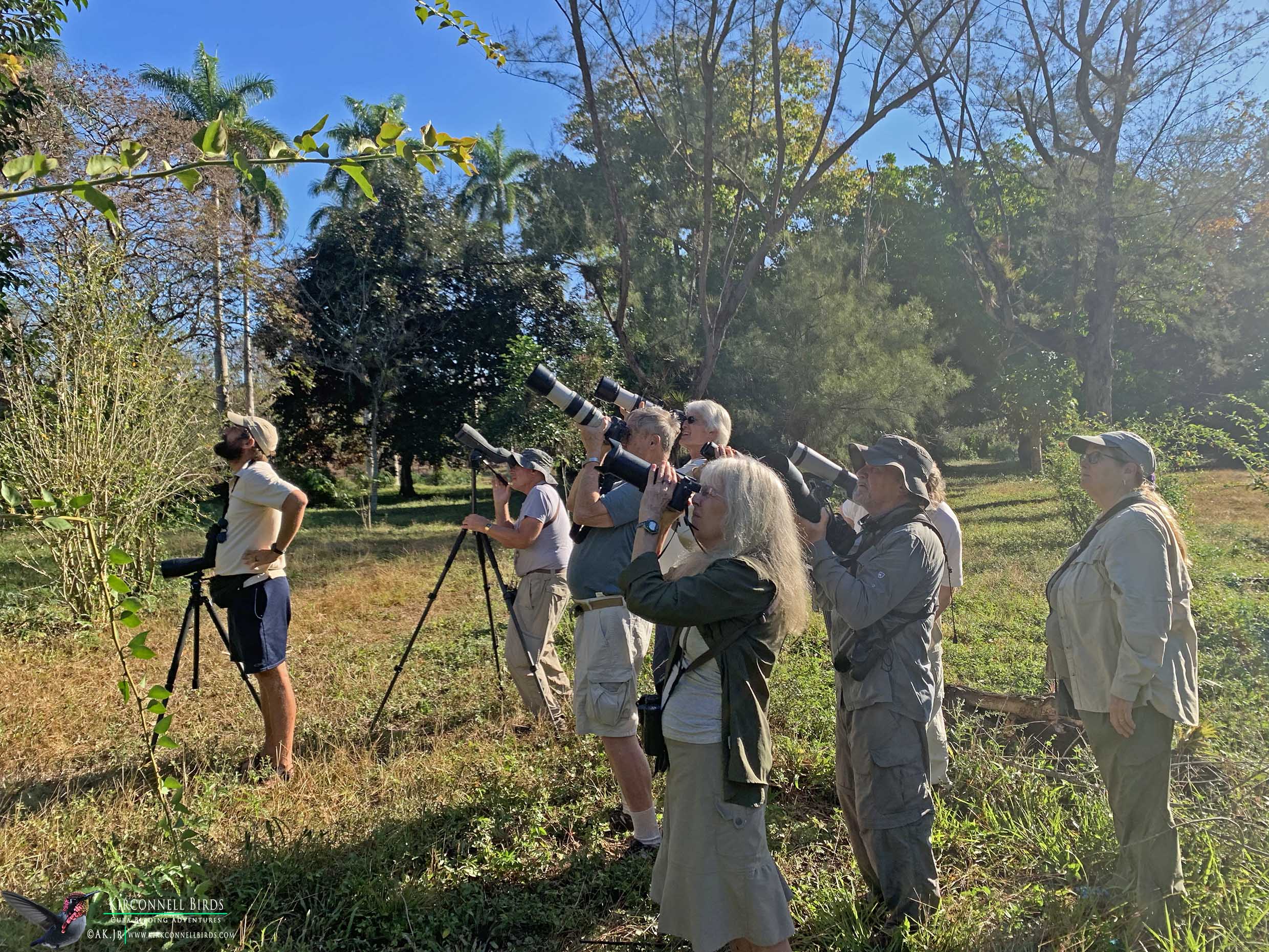 9-Birding-in-Cuba_Group-Birding_Las-Terrazas